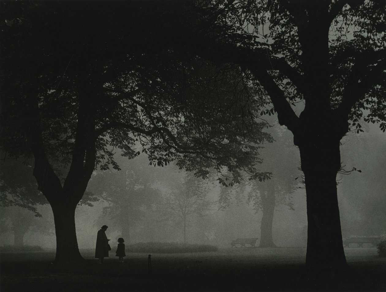 Regents Park, Londres 1950s de Godfrey Macdominic