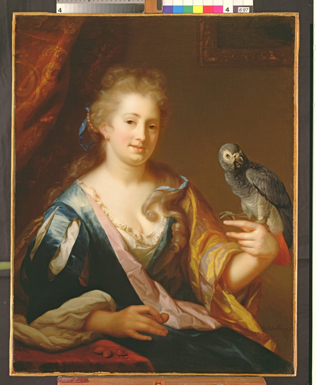 Retrato, de, um, senhora, alimentação, um, papagaio de Godfried Schalcken
