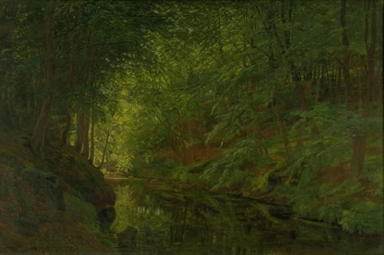 Um riacho em Sæbygaard Wood, Vendsyssel, Jutland de Godtfred Rump
