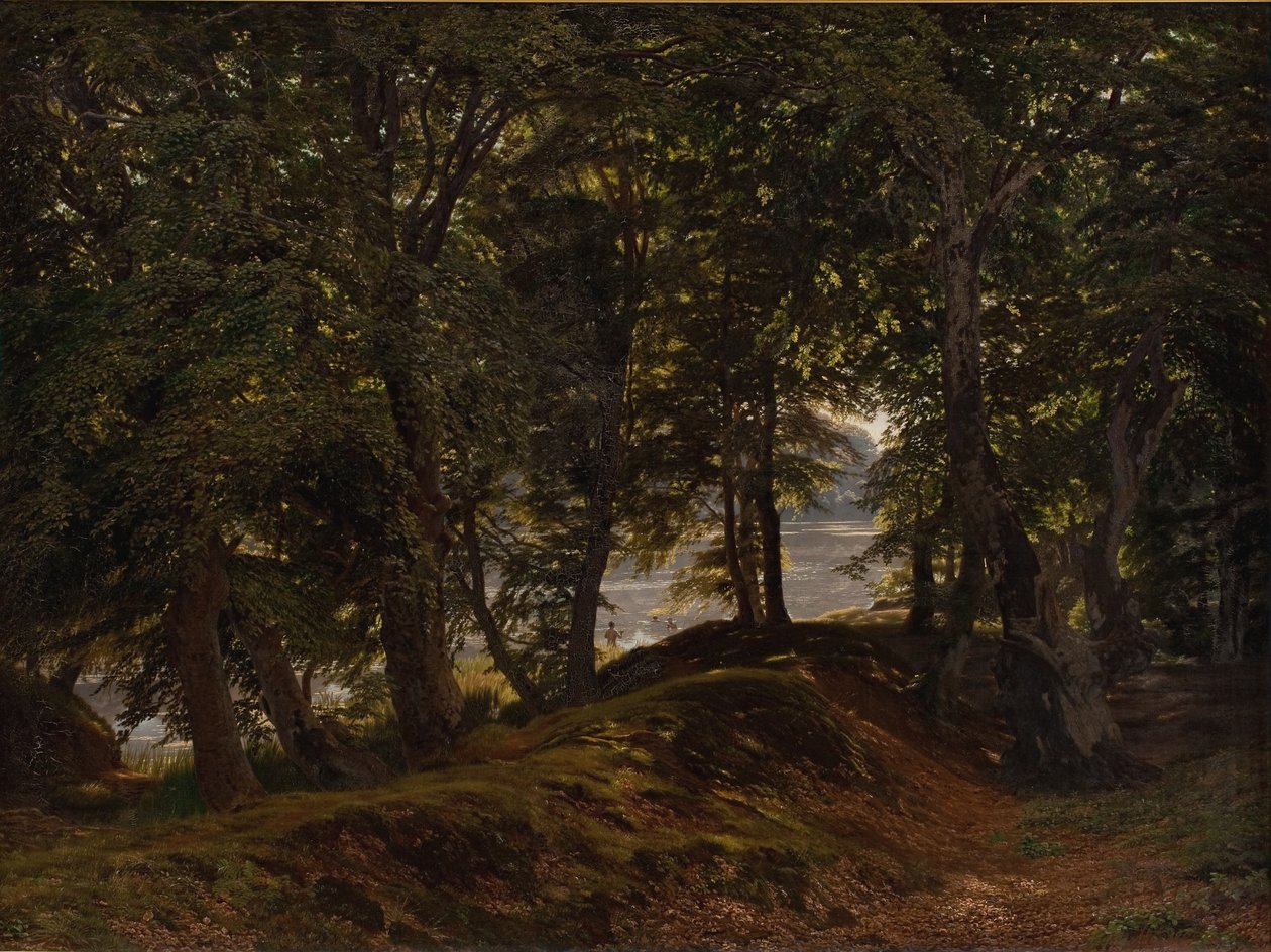 Um lugar sombrio em Hestehave perto de Frederiksborg de Godtfred Rump