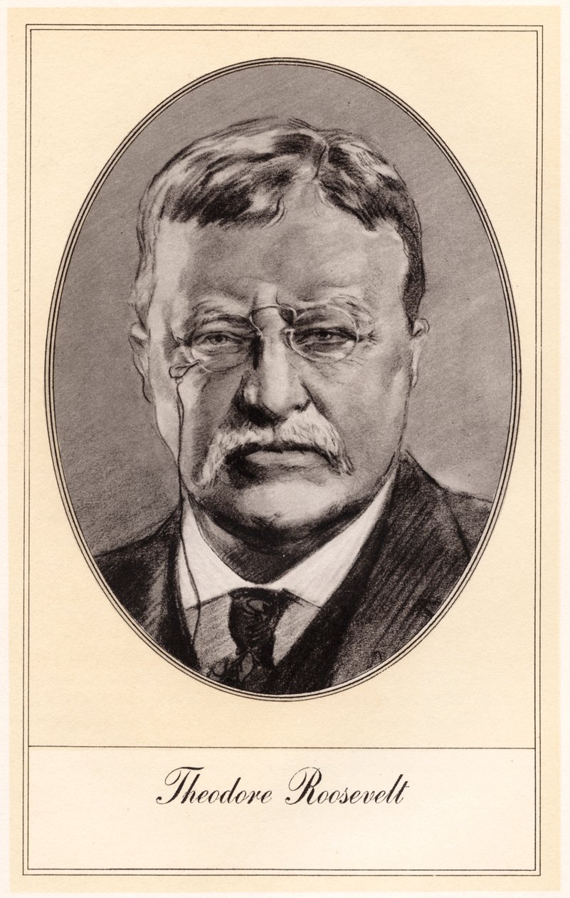 Theodore Roosevelt, 26º presidente dos Estados Unidos, início do século 20. de Gordon Ross