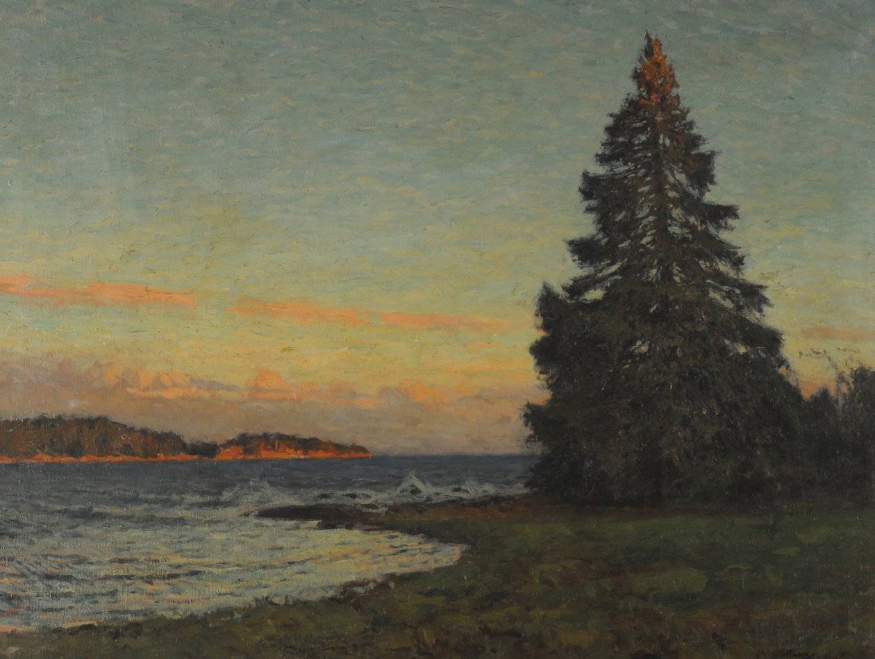 O abeto de Gottfried Kallstenius
