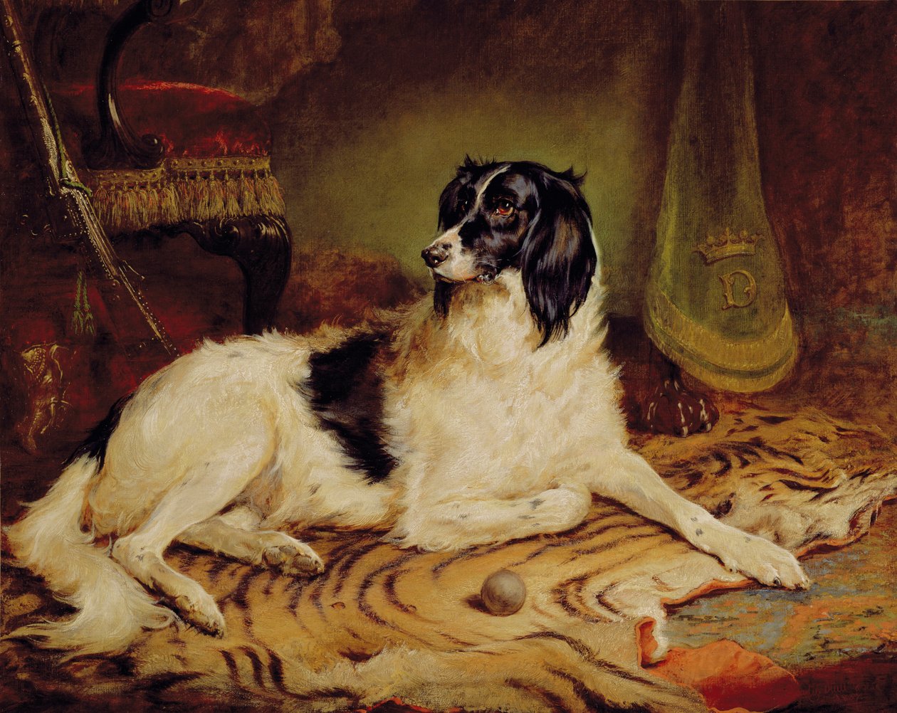 Minna, uma cadela preferida de James, Marquês de Dalhousie. de Gourlay Steel