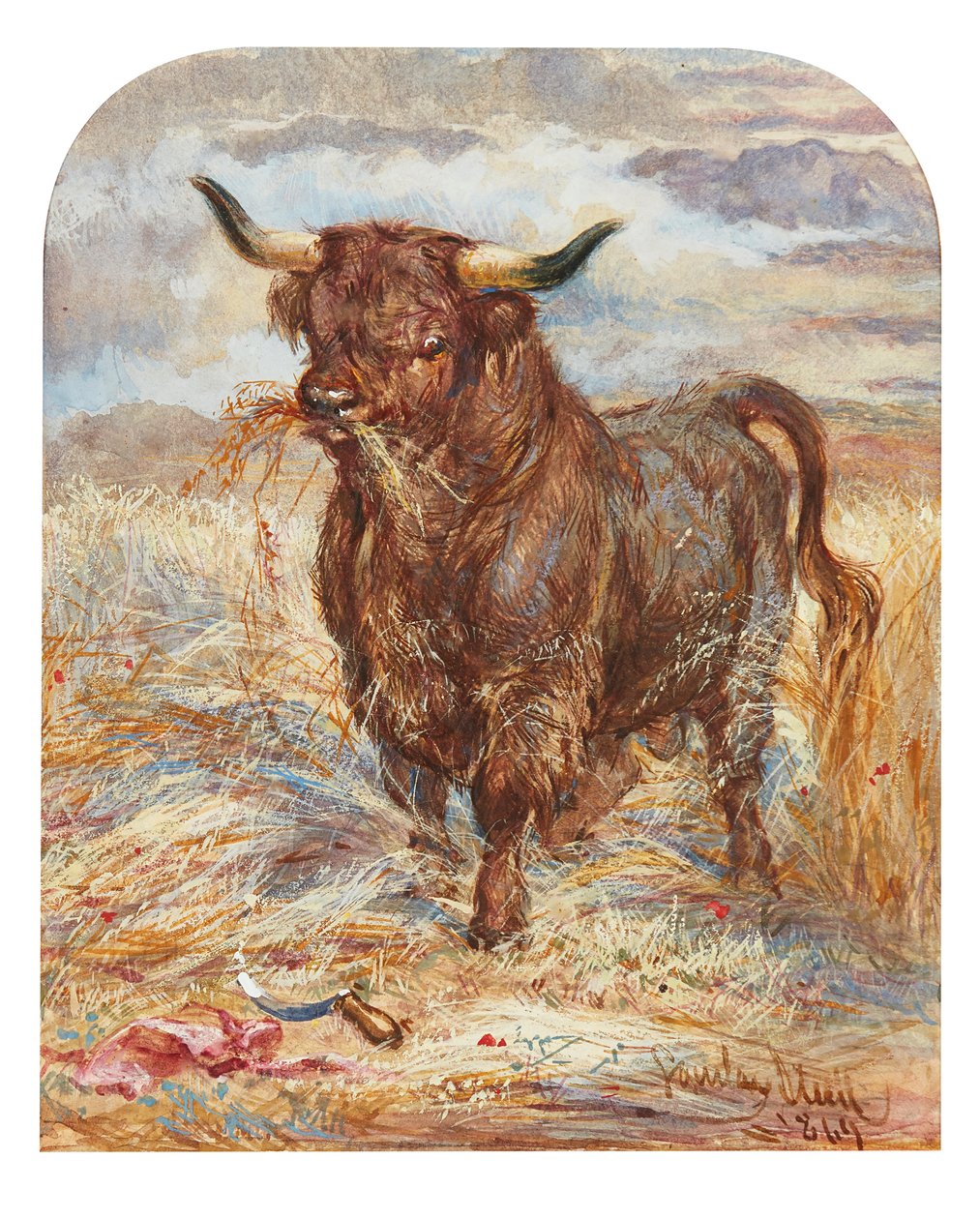 O Touro Triunfante (aguarela) de Gourlay Steell