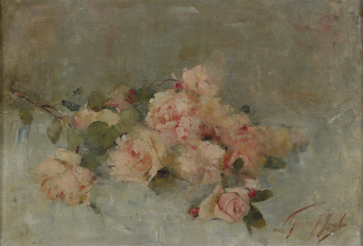 Rosas de Grace Joel