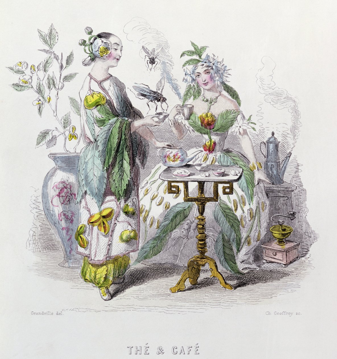 Chá e café, de &39;Les Fleurs Animees&39;, gravado por Charles Geoffrey (1819-82) 1847 de Grandville