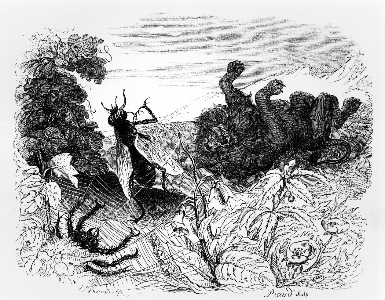 O Leão e o Mosquito, ilustração para &39;Fábulas&39; de La Fontaine, publicado por H. Fournier Aine, 1838 de Grandville