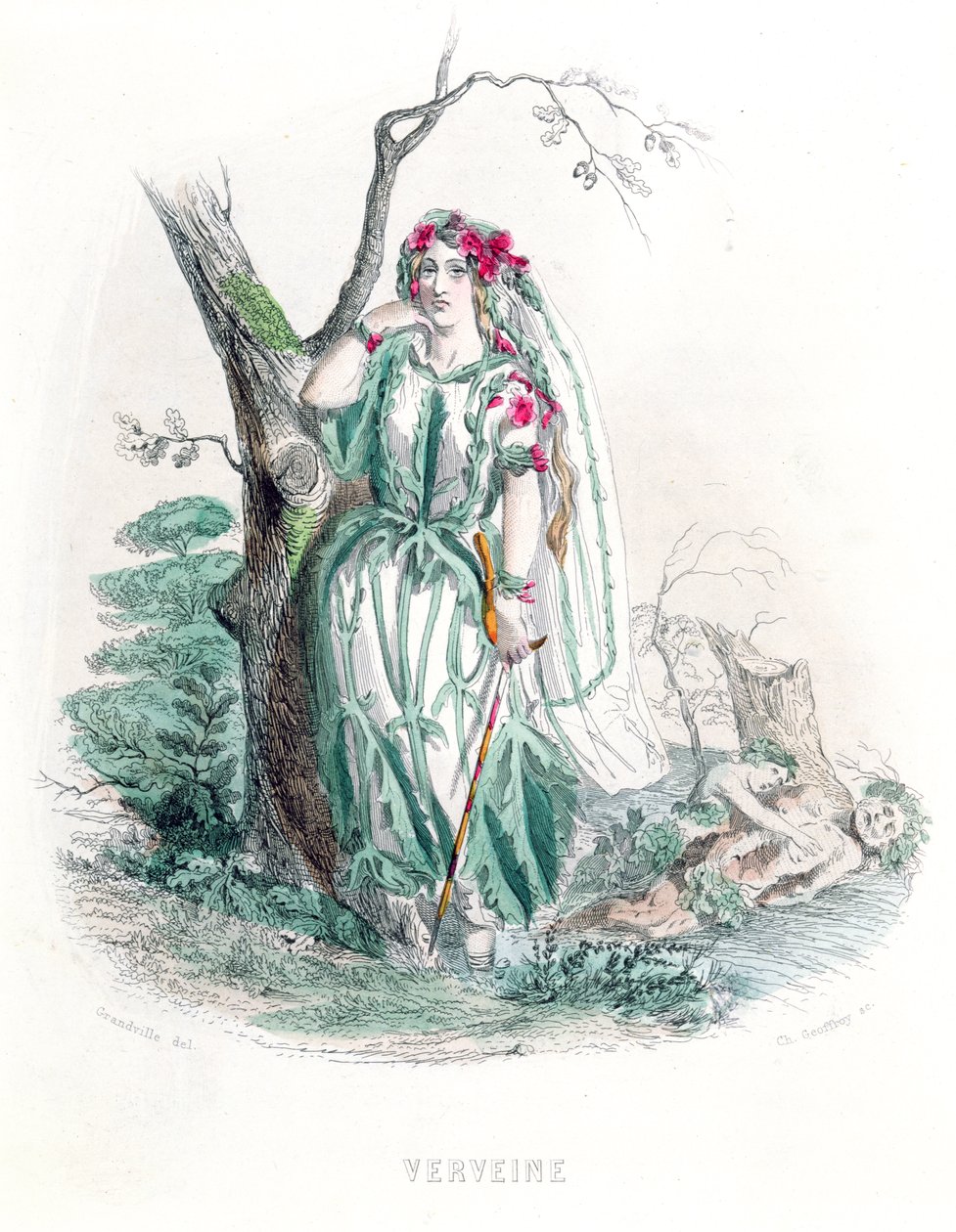 O verbena, de "Les Fleurs Animees", gravada por Charles Geoffroy (1819-82), 1847 (gravura a cores) de Grandville