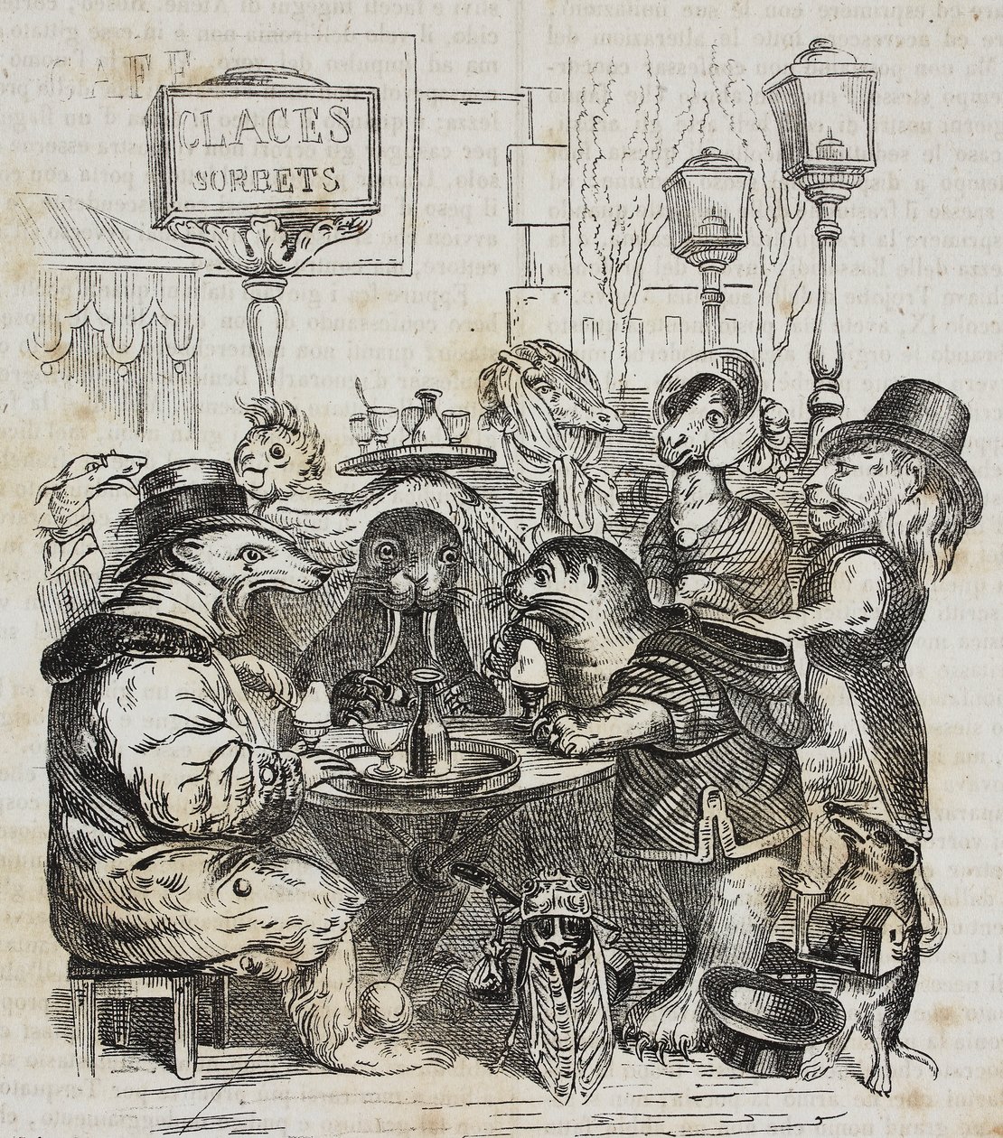 Bestas sentadas na sorveteria, litografia de Giovanni Mariani após caricatura de Jean-Jacques Grandville (1803-1847) de Poliorama Pittoresco, n 24, 21 de janeiro de Grandville