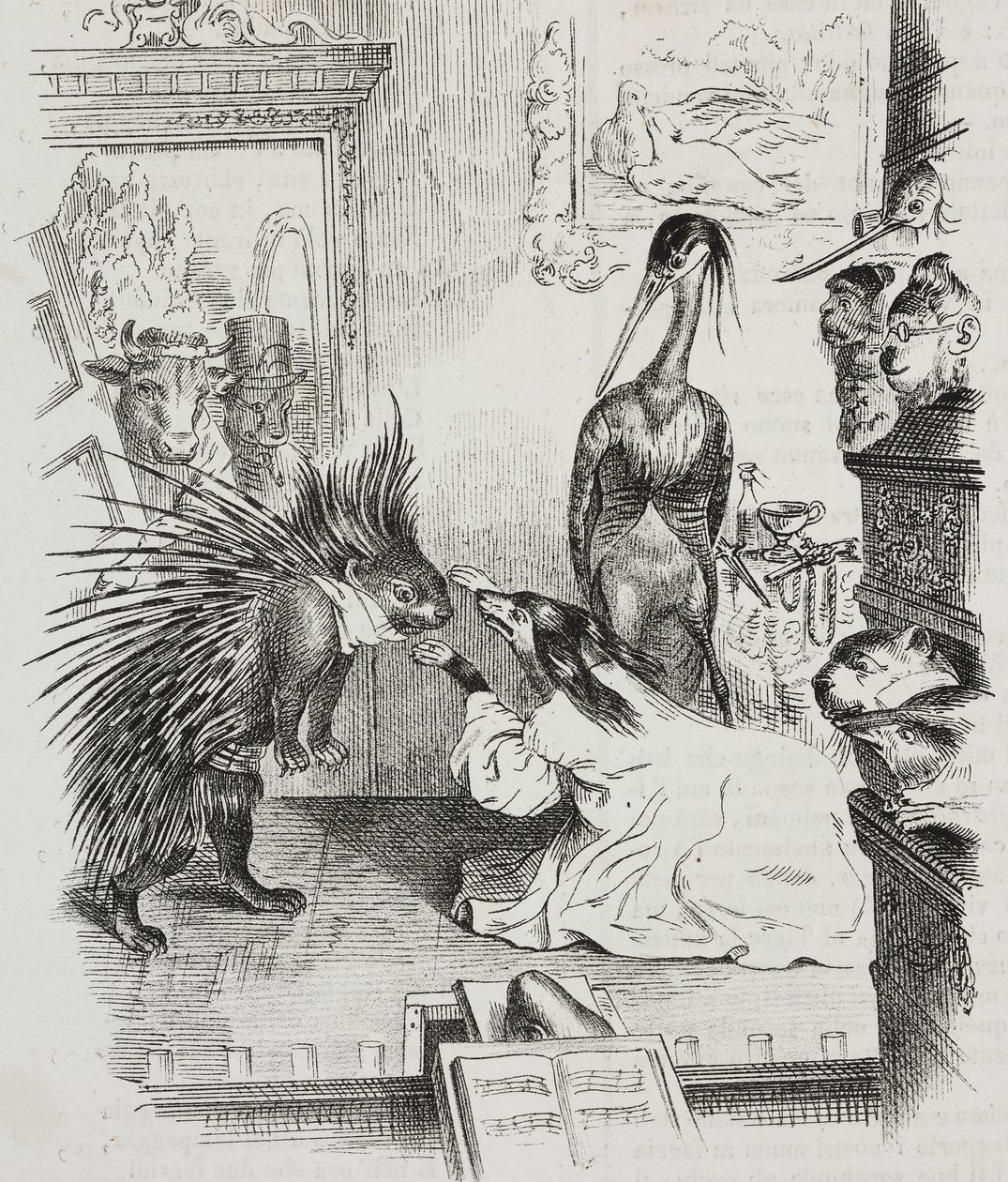 Cão e porco-espinho, caricatura de Jean-Jacques Grandville (1803-1847), litografia de Giovanni Mariani de Poliorama Pittoresco, n 38, 30 de abril de Grandville
