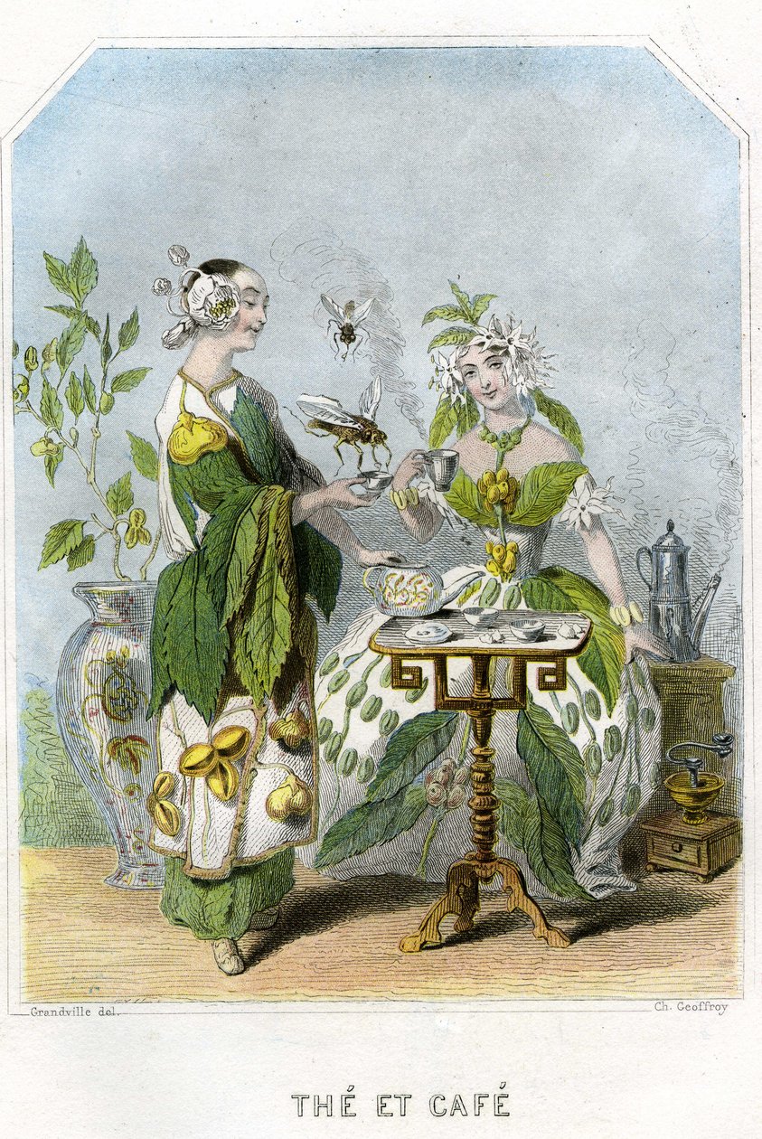 Ilustração para "Les Fleurs Animees". de Grandville (1803 47)