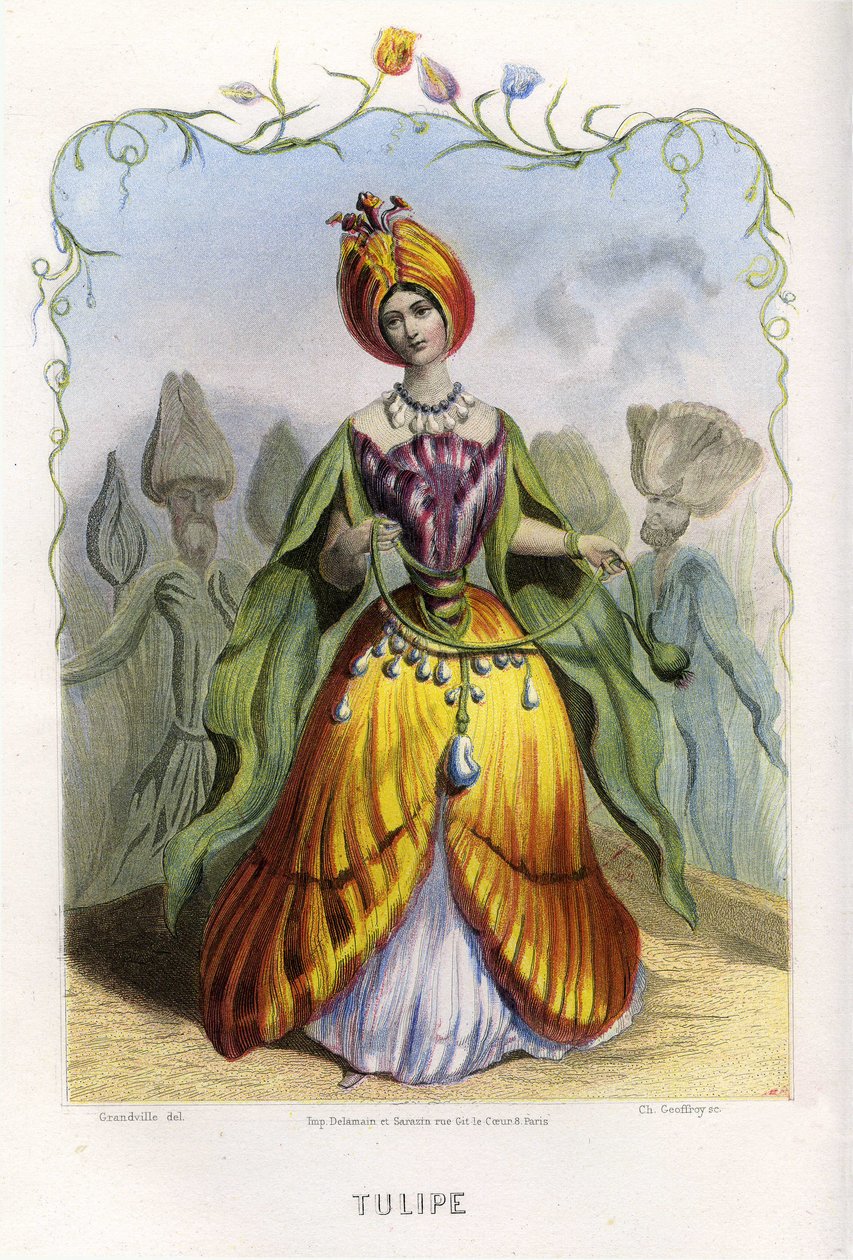 Ilustração para "Les Fleurs Animees". de Grandville (1803 47)