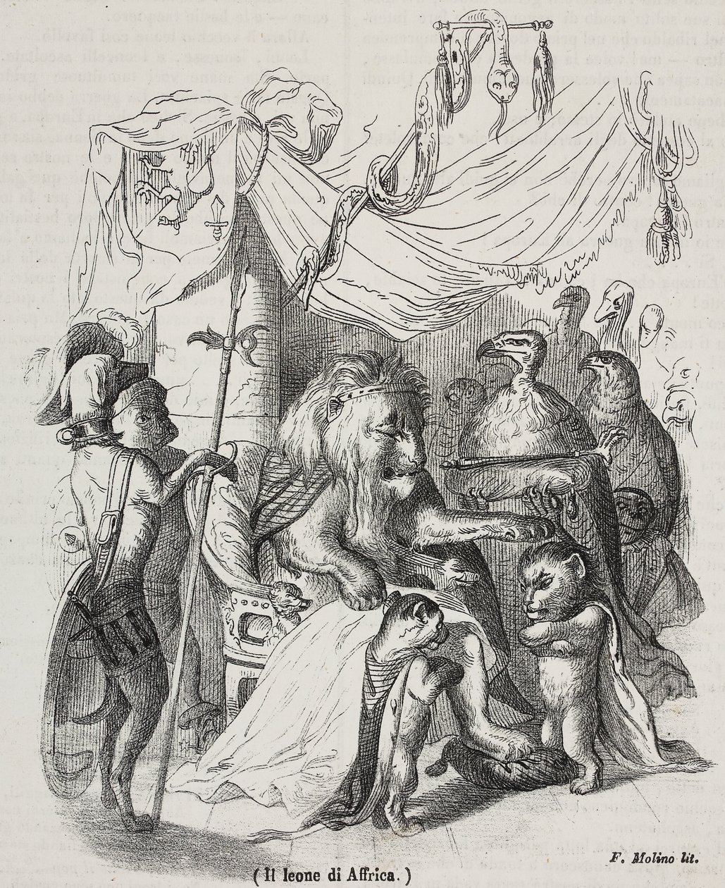 Leão da África, personagem da história do Leão africano e três leões jovens nativos, litografia de Filippo Molino (1804-1856) após desenho de Jean-Jacques Grandville (1803-1847), de Grandville