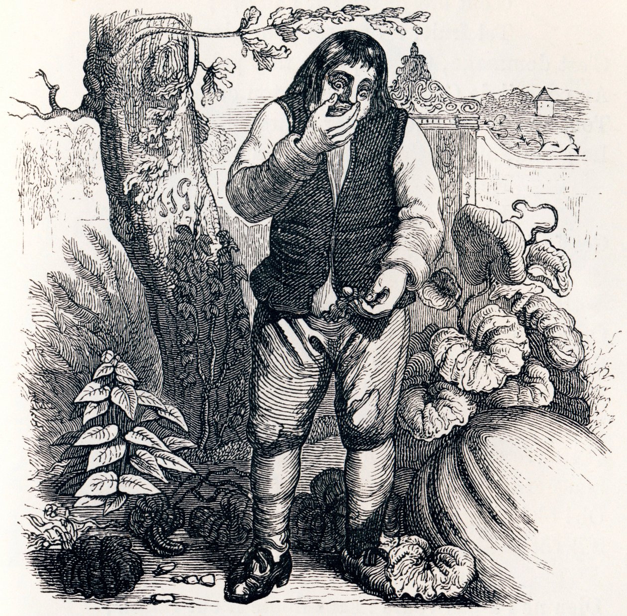 A bolota e a abóbora (Le gland et la citrouille) - Fábulas de La Fontaine de Grandville