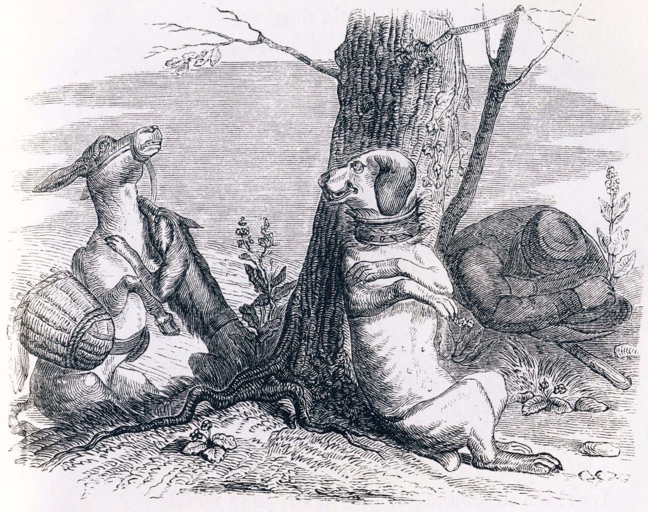 O burro e o cão - Fábulas de La Fontaine de Grandville