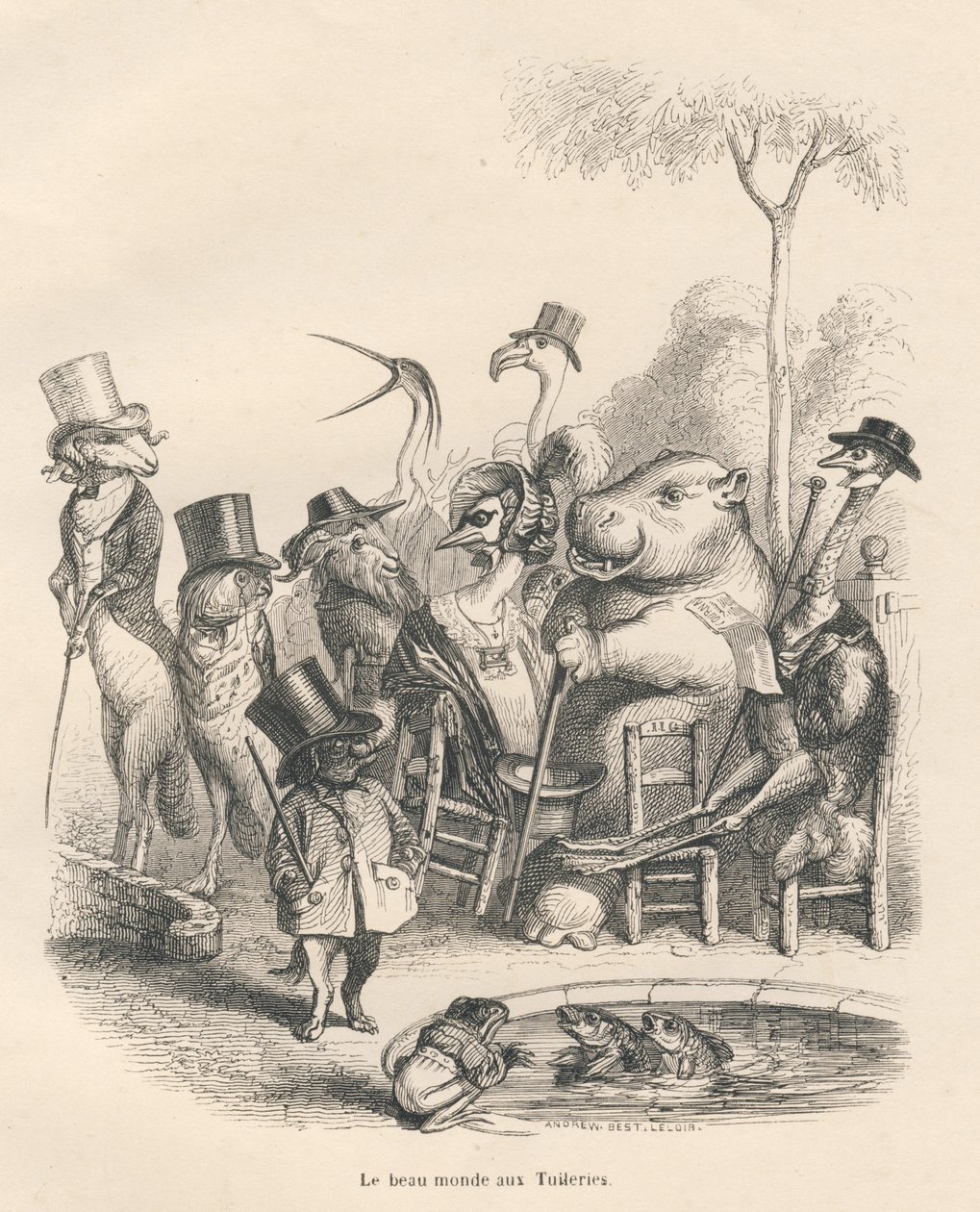 Animais em trajes elegantes caminhando nas Tuileries . Vinhetas ilustradas por JJ Granville . Gravura assinada por Andrew, Best e Leloir na parte "Histoire d