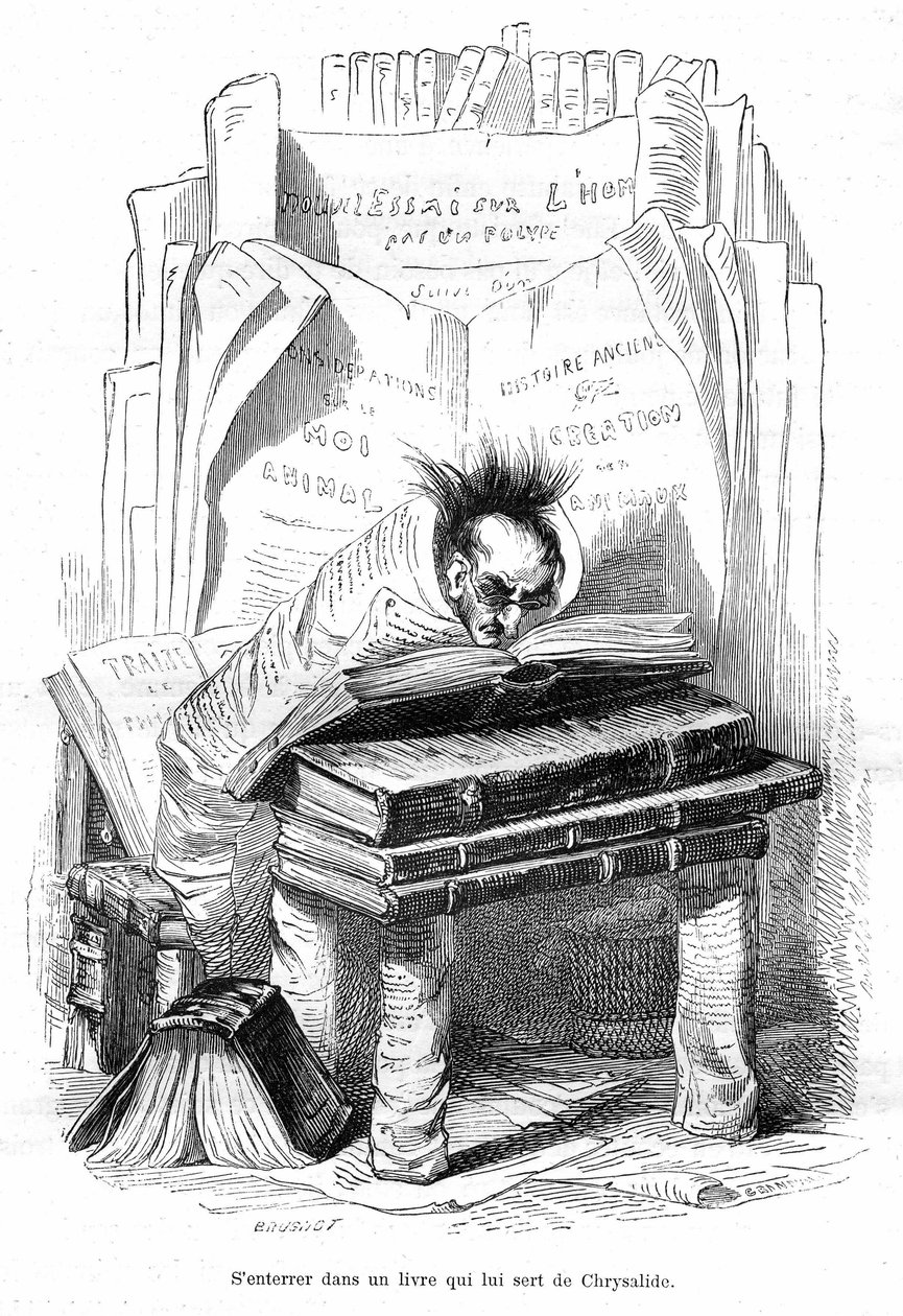 Desenho animado: Crisálida de um académico enterrado nos livros de uma bibliotheca - Gravura de Grandville, extraída do livro "Vida privada e pública dos animais (Les animaux pintés par les memes)", edição Hetzel 1867 p. 563 - Capítulo intitulado Tábuas da de Grandville (1803 47)