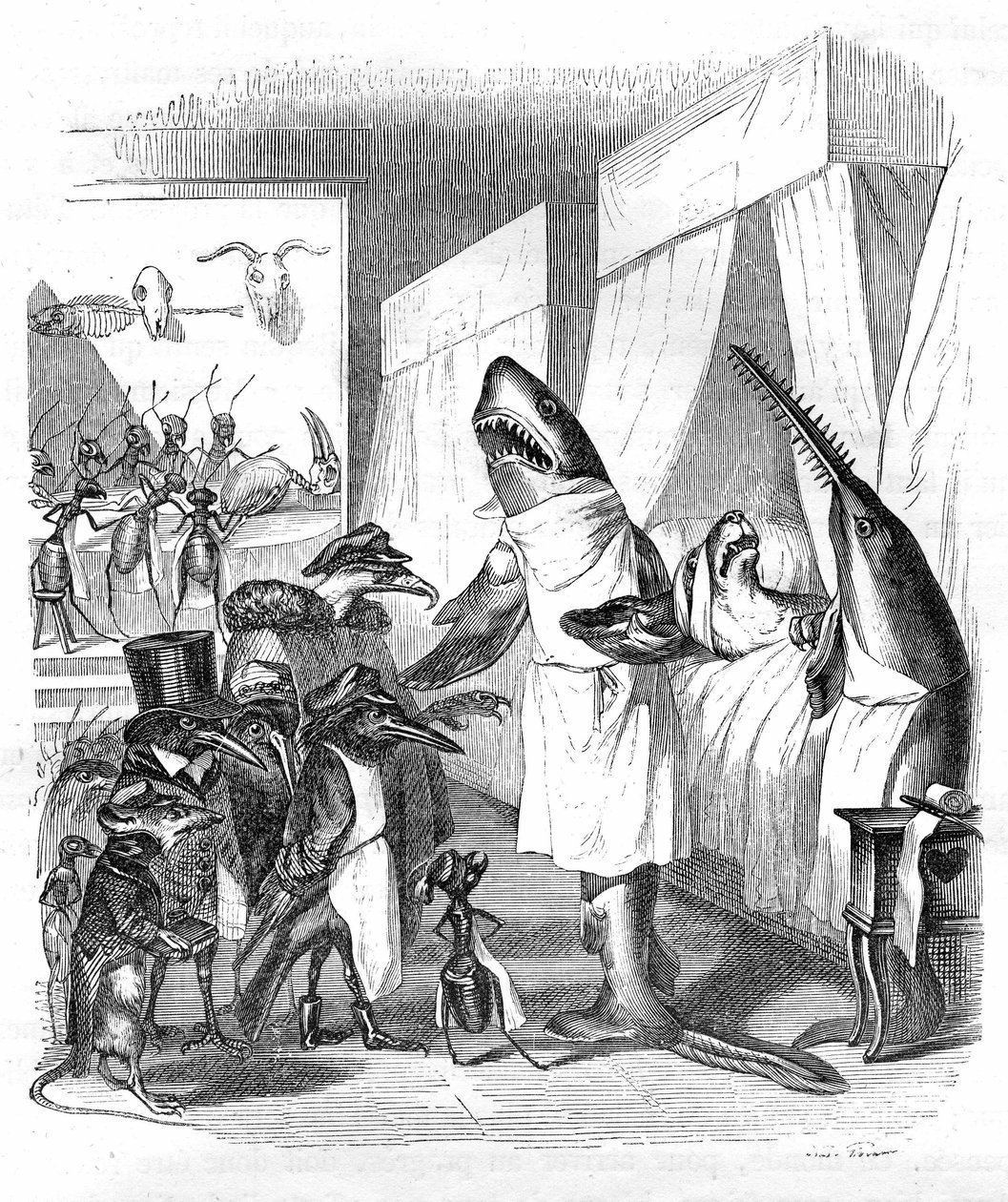 Cartoon: Peixes - médicos: Gravura de Grandville, do livro "Vida privada e pública dos animais (Les animaux ints par eux memes)", edição Hetzel 1867 p. 551 - Um tubarão e um peixe-serra (Fish saw) à cabeceira de um doente na cama. de Grandville (1803 47)