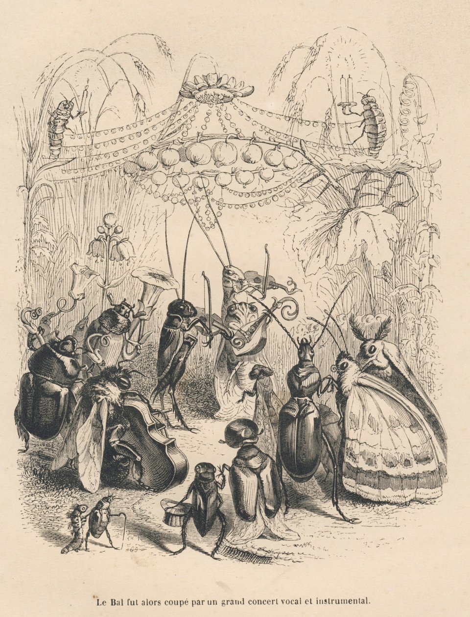 Concerto de insetos em um baile. Vinhetas ilustradas por JJ Granville. Gravura assinada Godard na parte intitulada "Les aventures d