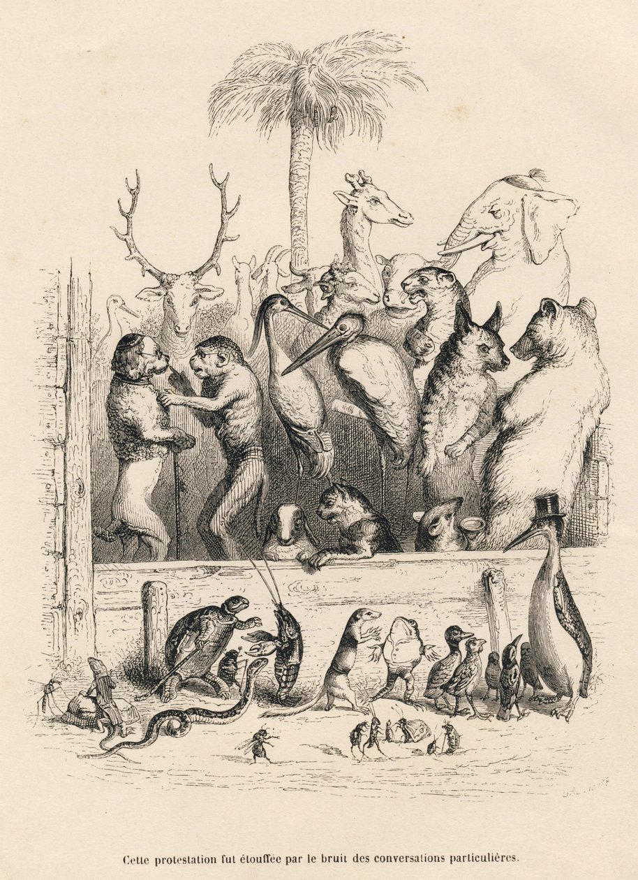 Conversa entre os animais . Vinhetas ilustradas por JJ Granville. Gravura assinada Breviere no prólogo intitulado "Resume parlementaire" escrito por PJ Stahl em "Scenes de la vie privee et publique des animaux". Paris, J. Hetzel e Paulin de Grandville