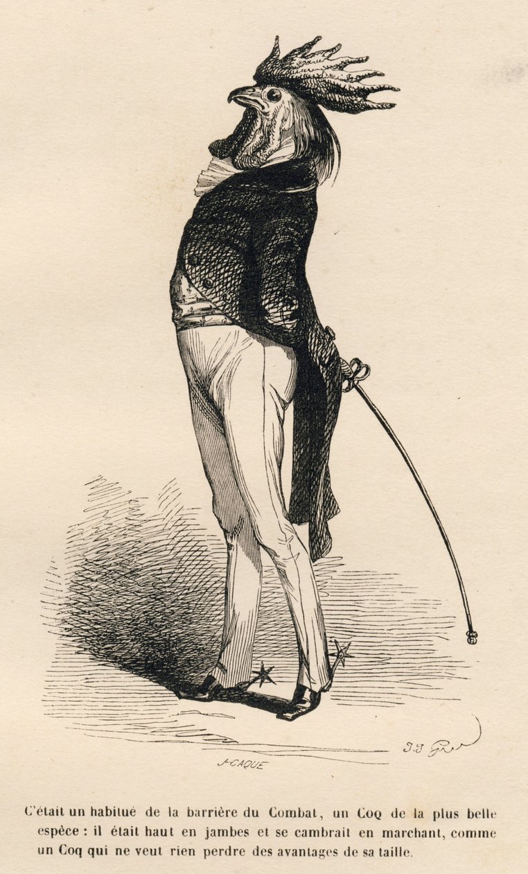 Galo acostumado ao campo de batalha barriere orgulhosamente negociando. Vinhetas ilustradas por JJ Granville. Gravura assinada Caque na parte "Histoire d