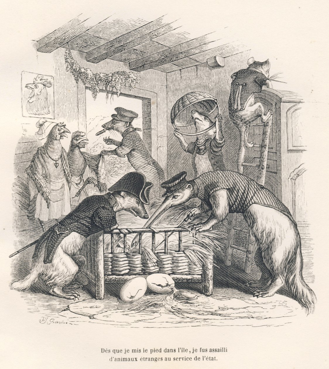 Assim que pus os pés na ilha, fui assaltado por animais estranhos ao serviço do estado. Vinhetas ilustradas por JJ Granville. Gravura assinada Porret na parte intitulada "Voyage d