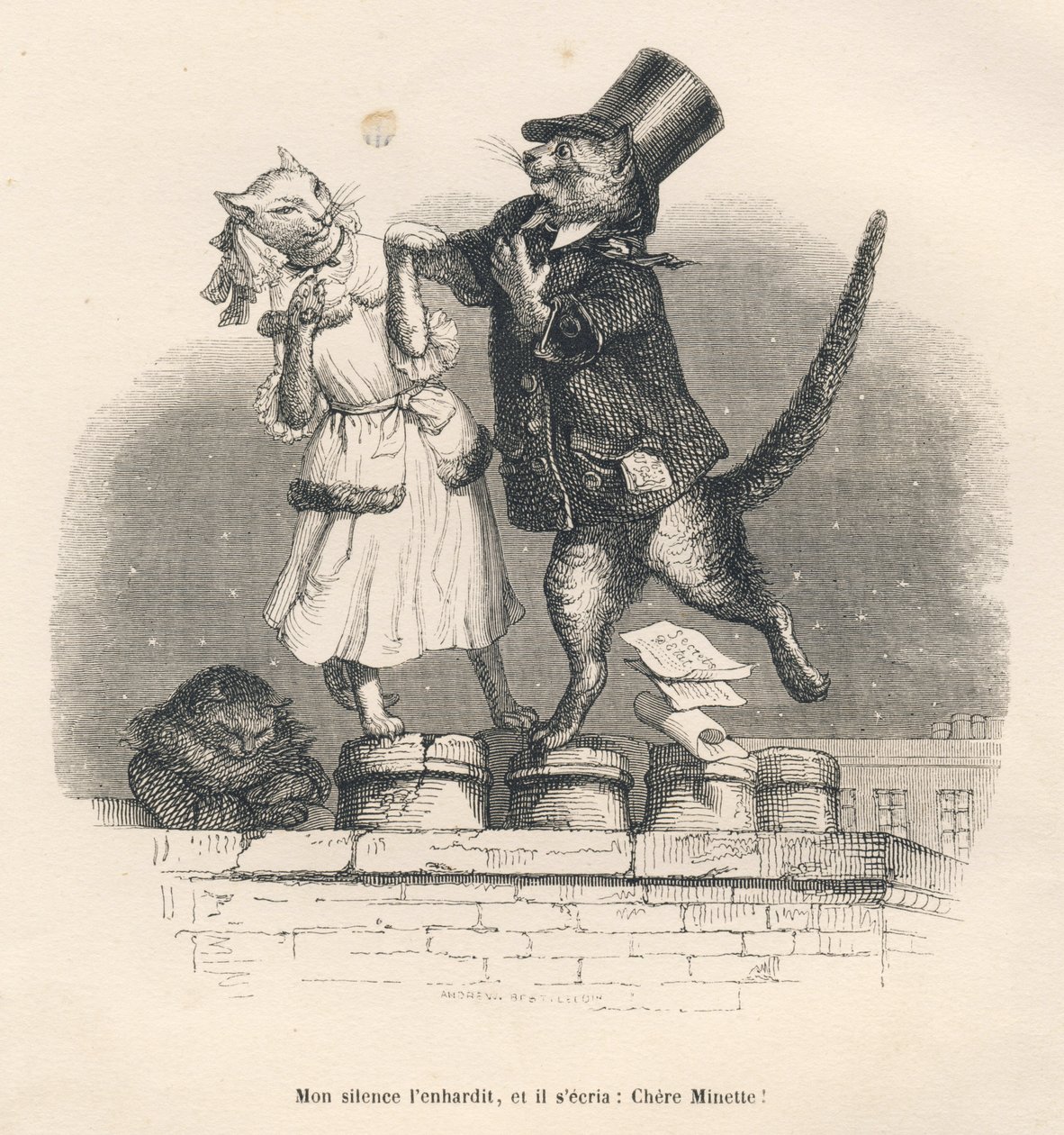 Dois gatos a seduzirem-se um ao outro num telhado. Vinhetas ilustradas por JJ Granville. Gravura assinada por Andrew, Best e Leloir na parte intitulada "Peines de cour d