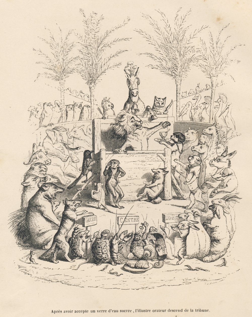 Discurso político do leão numa galeria rodeado por todos os outros animais. Vinhetas ilustradas por JJ Granville. Gravura assinada por Godard no prólogo intitulado "Resume parlementaire" escrito por PJ Stahl em "Scenes de la vie privee et publique des an de Grandville