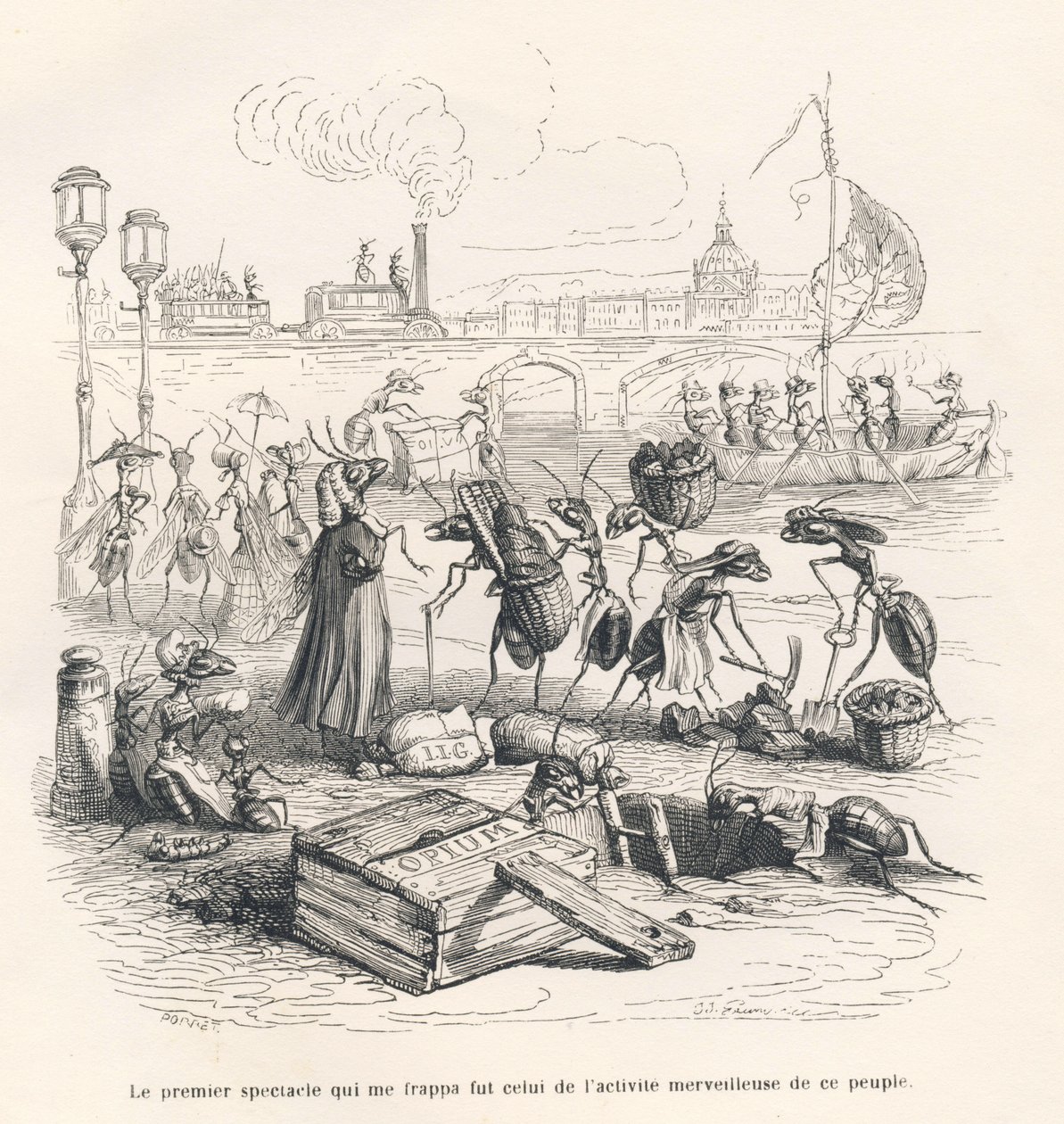 Formigas em plena actividade nas margens do Sena. Vinhetas ilustradas por JJ Granville. Gravura assinada Porret na parte intitulada "Voyage d