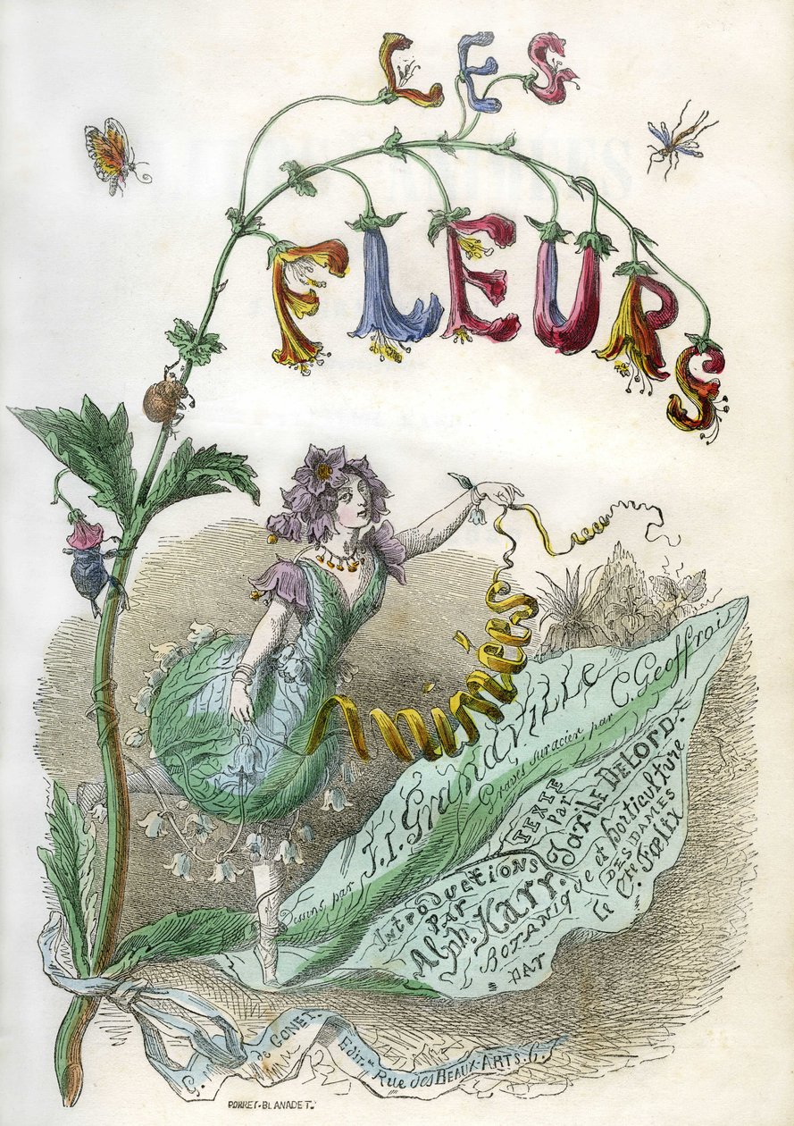 Frontispício do livro "Les Fleurs animees", ilustrado por Grandville, gravura a cores com estêncil. Edição Gonet 1857 de Grandville (1803 47)