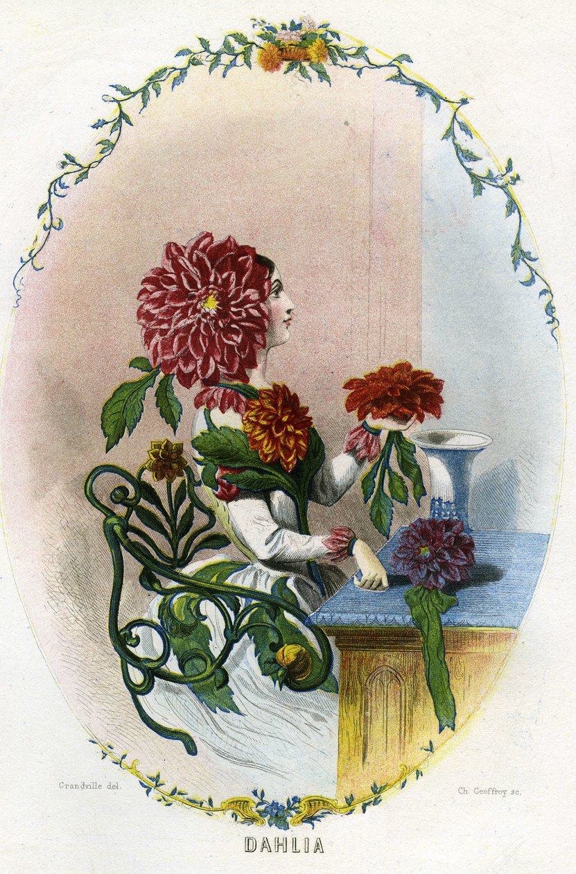 Ilustração para "Les Fleurs Animees". de Grandville (1803 47)