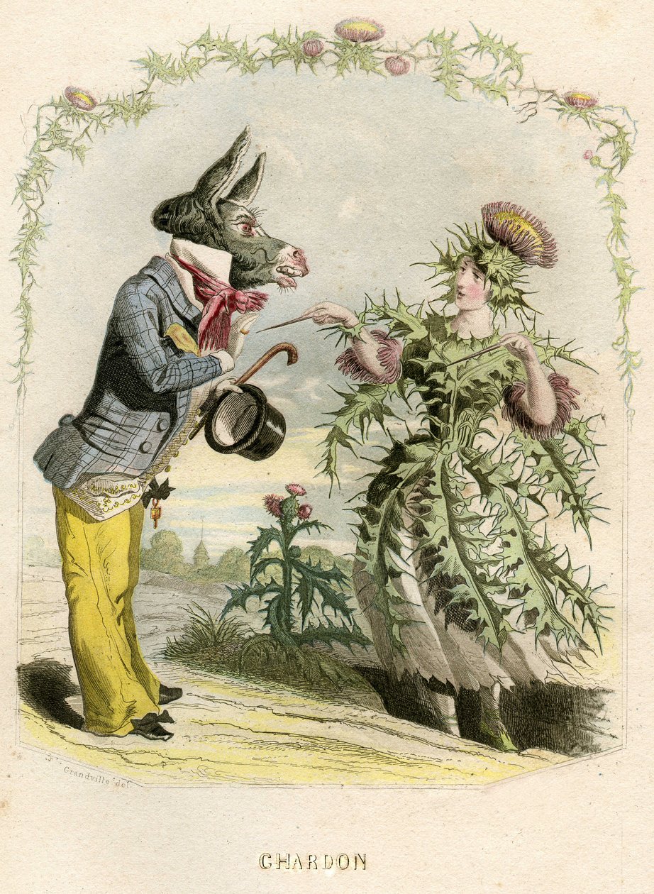 Ilustração para "Les Fleurs Animees". de Grandville (1803 47)