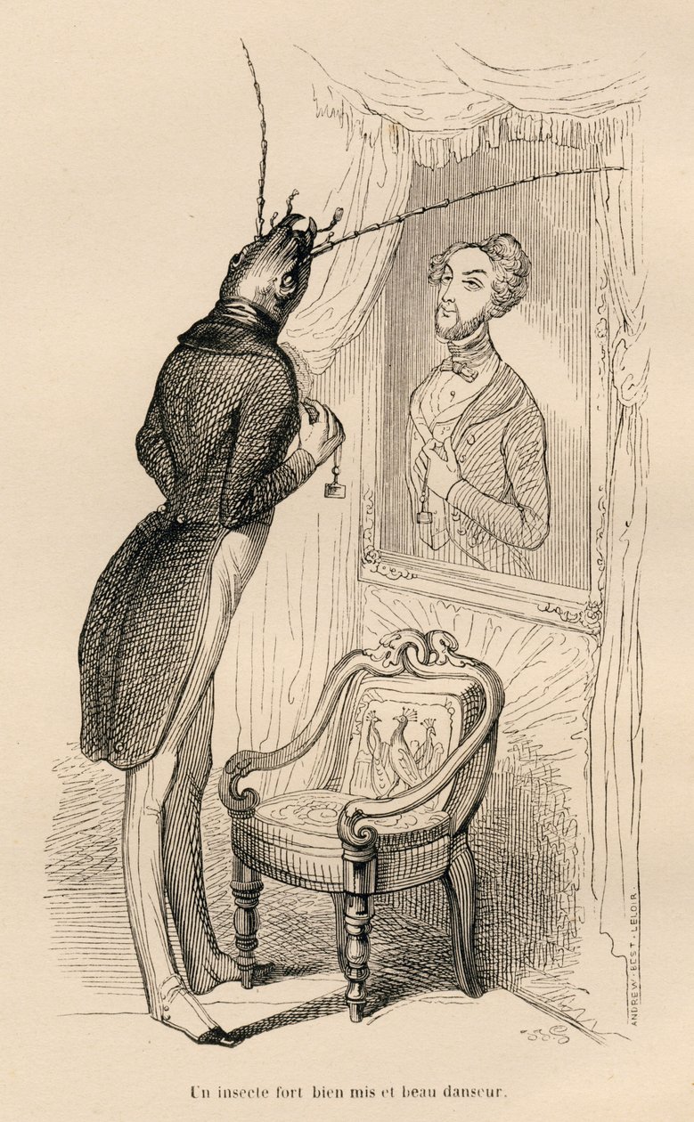 Insecto a olhar para o seu reflexo humano no espelho). Vinhetas ilustradas por JJ Granville. Gravura assinada por Andrew, Best e Leloir na parte intitulada "Les aventures d