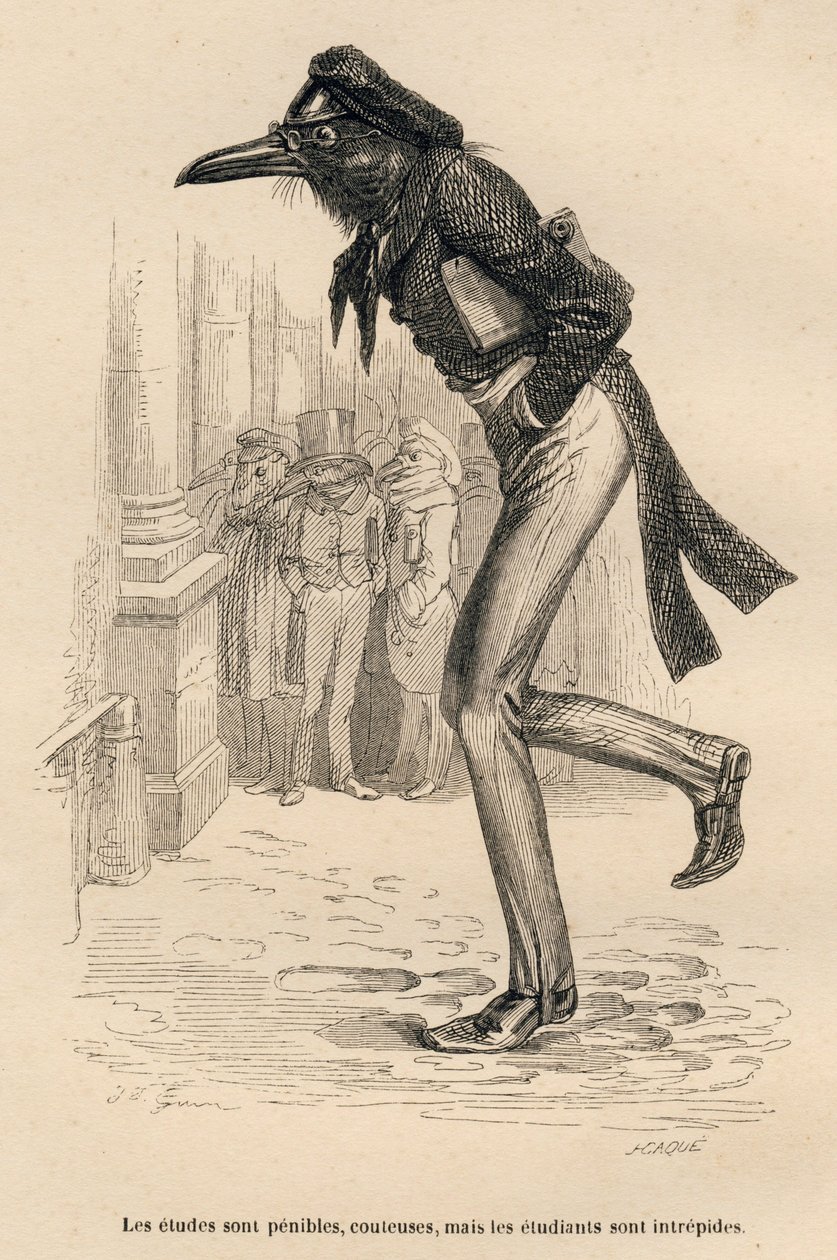 Os estudos são dolorosos, caros, mas os alunos são intrépidos. Vinhetas ilustradas por JJ Granville. Gravura assinada Caque na parte intitulada "Les animaux medecins" escrita por Pierre Bernard em "Scenes de la vie privee et publique des animau de Grandville