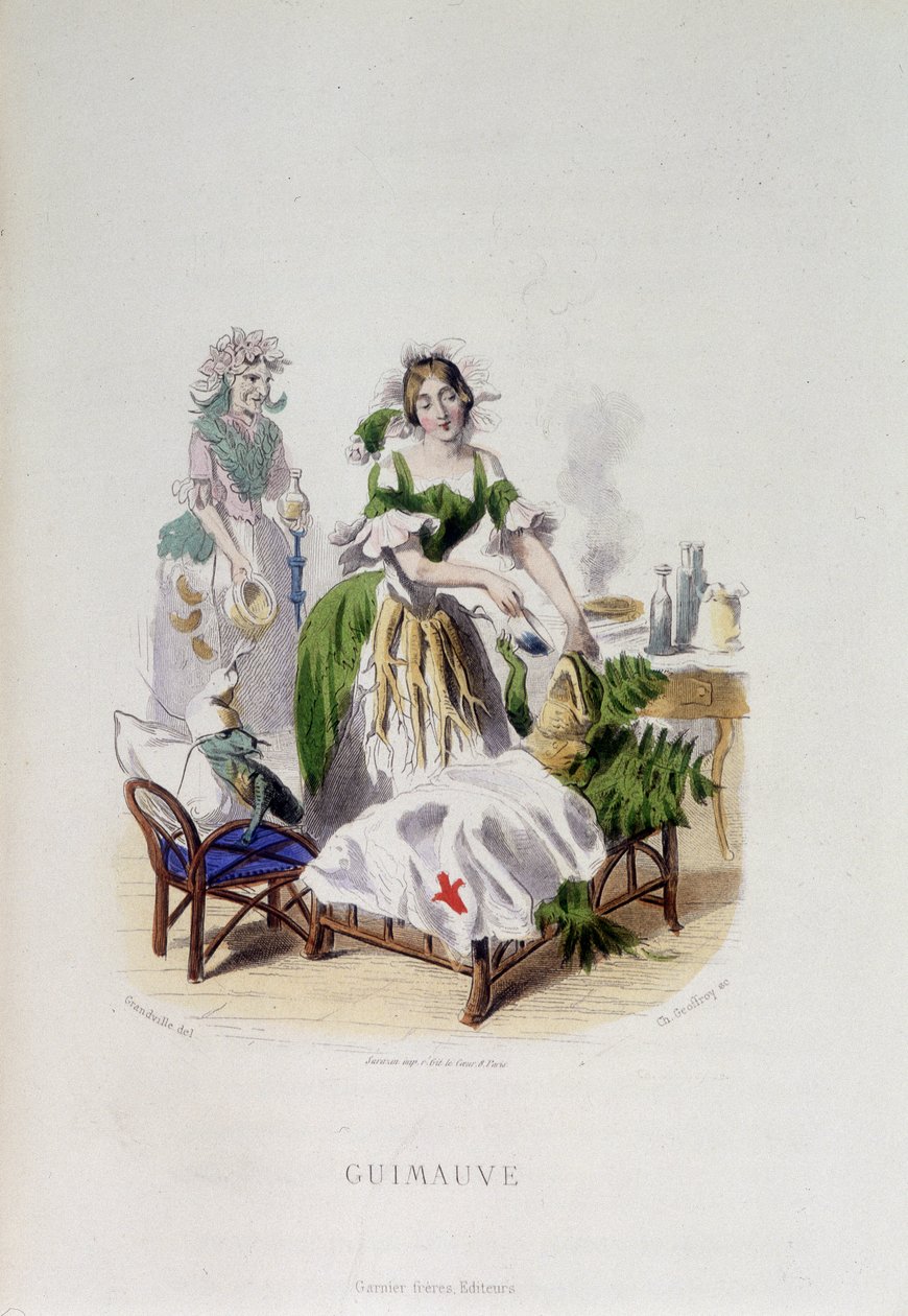 Personificação da planta medicinal Marshmallow tratando um sapo - em "Flores animadas" de Grandville de Grandville