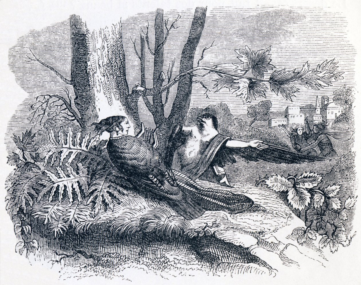 Philomele & Progne - Fábulas de La Fontaine de Grandville