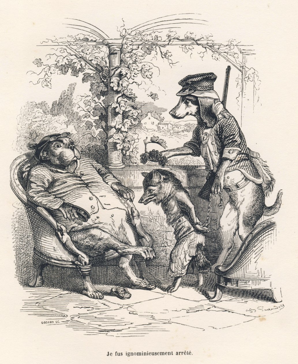 A Raposa parou por um cão. Vinhetas ilustradas por JJ Granville. Gravura assinada Godard na parte intitulada "Un renard pris au piege", escrita por Charles Nodier em "Scenes de la vie privee et publique des animaux". Paris, J. Hetzel e Paulin de Grandville