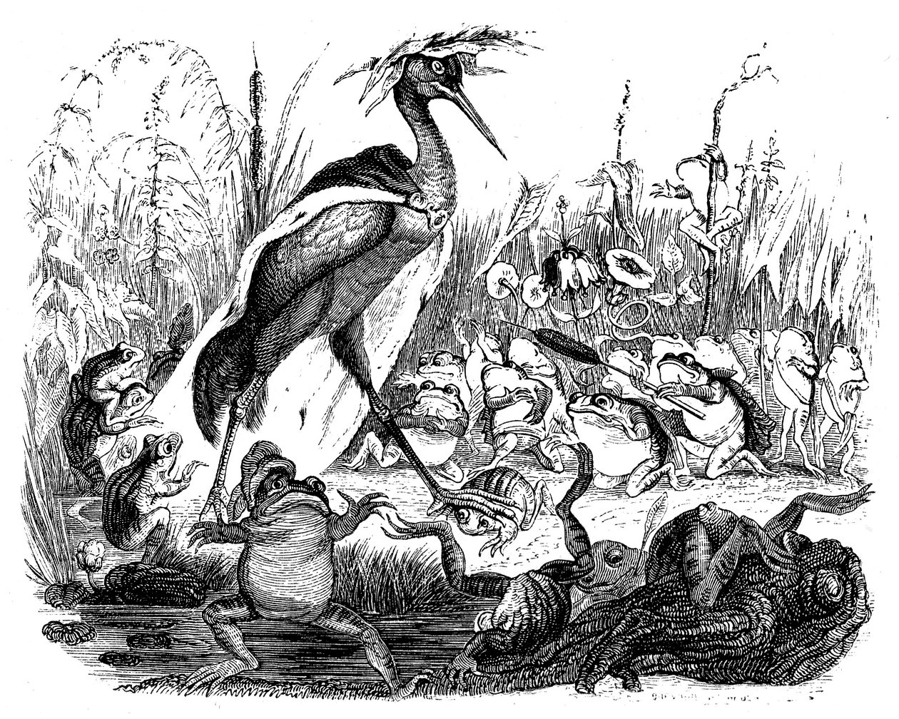 Os Sapos perguntam ao Rei, ilustração de 