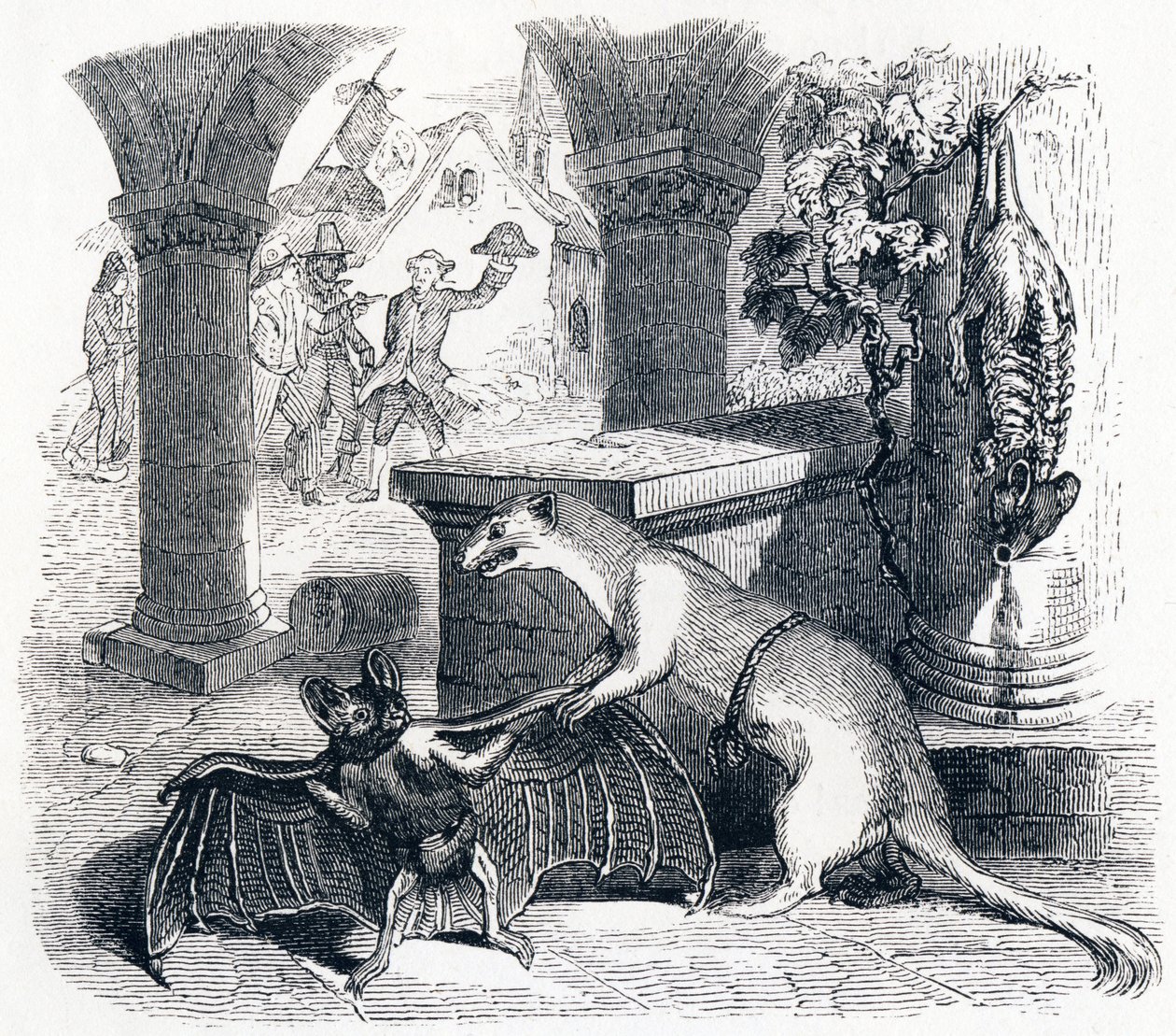 O taco e as duas doninhas (la chauve-souris et les deux belettes) - Fábulas de La Fontaine de Grandville