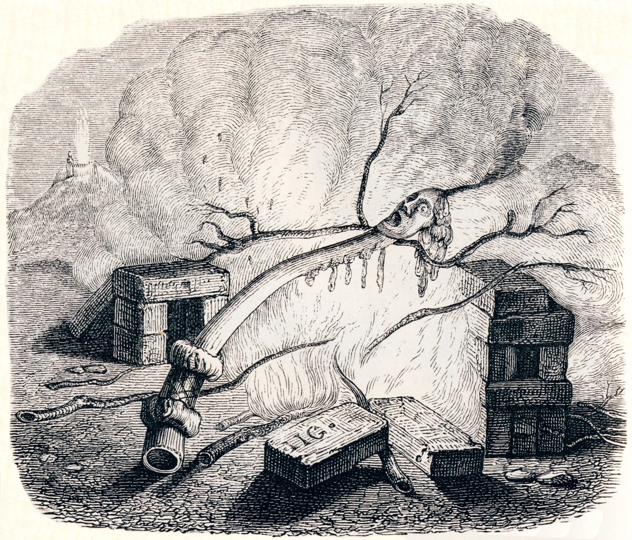 A vela - Fábulas de La Fontaine de Grandville
