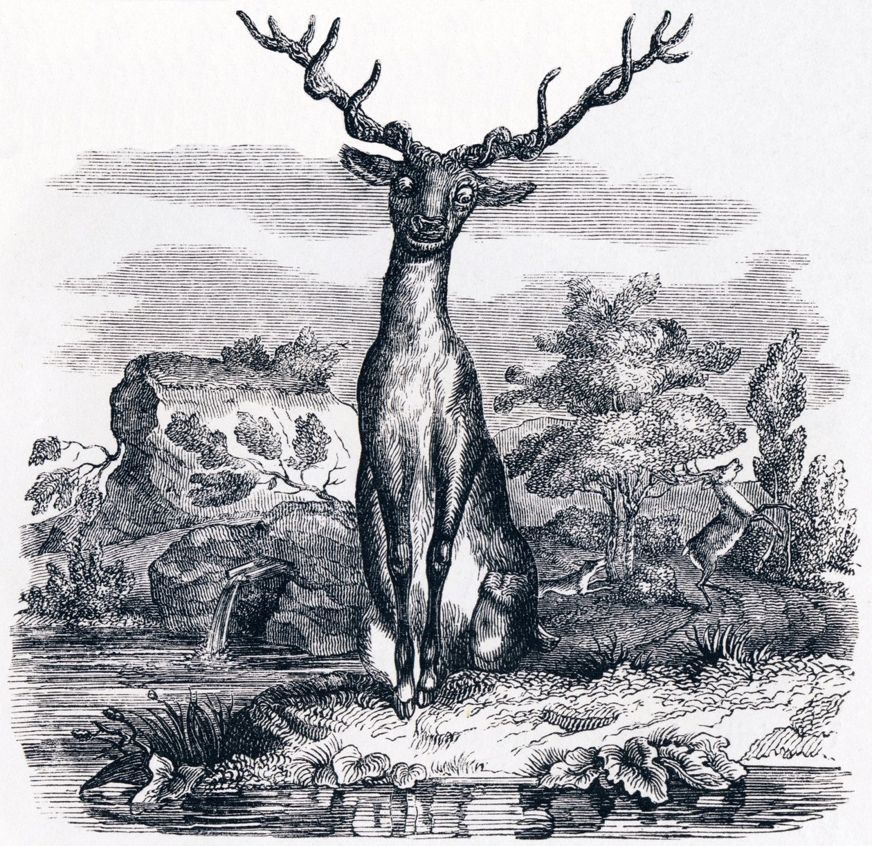 O veado a olhar para si mesmo na água (Le cerf se voyant dans l