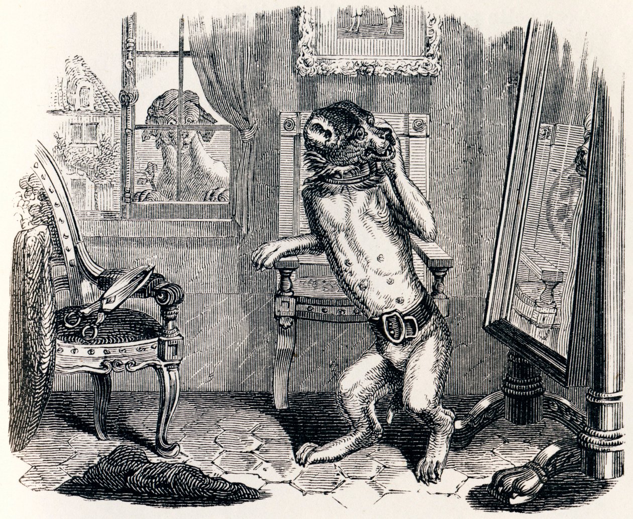 O cão com as orelhas cortadas (Le chien a qui on a coupe les oreilles) - Fábulas de La Fontaine de Grandville