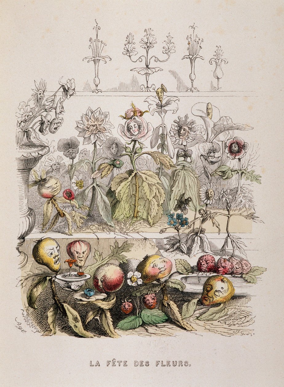 O festival de flores - desenho de Grandville de Grandville