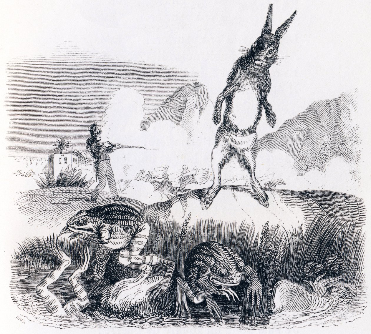 A lebre e os sapos (Le lievre et les grenouilles) - Fábulas de La Fontaine de Grandville