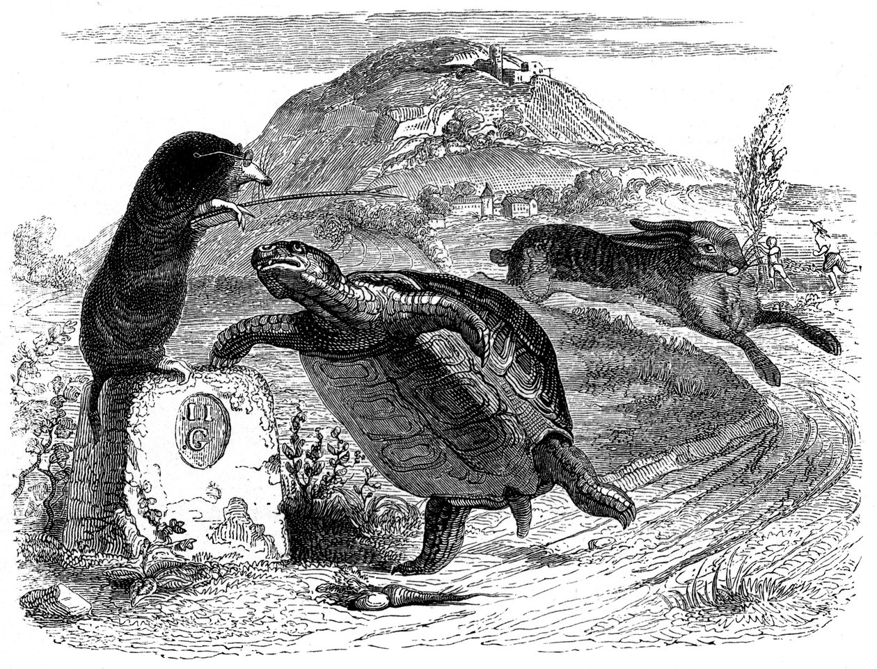 A lebre e a tartaruga: Fábula de La Fontaine ilustrada por Grandville. de Grandville (1803 47)
