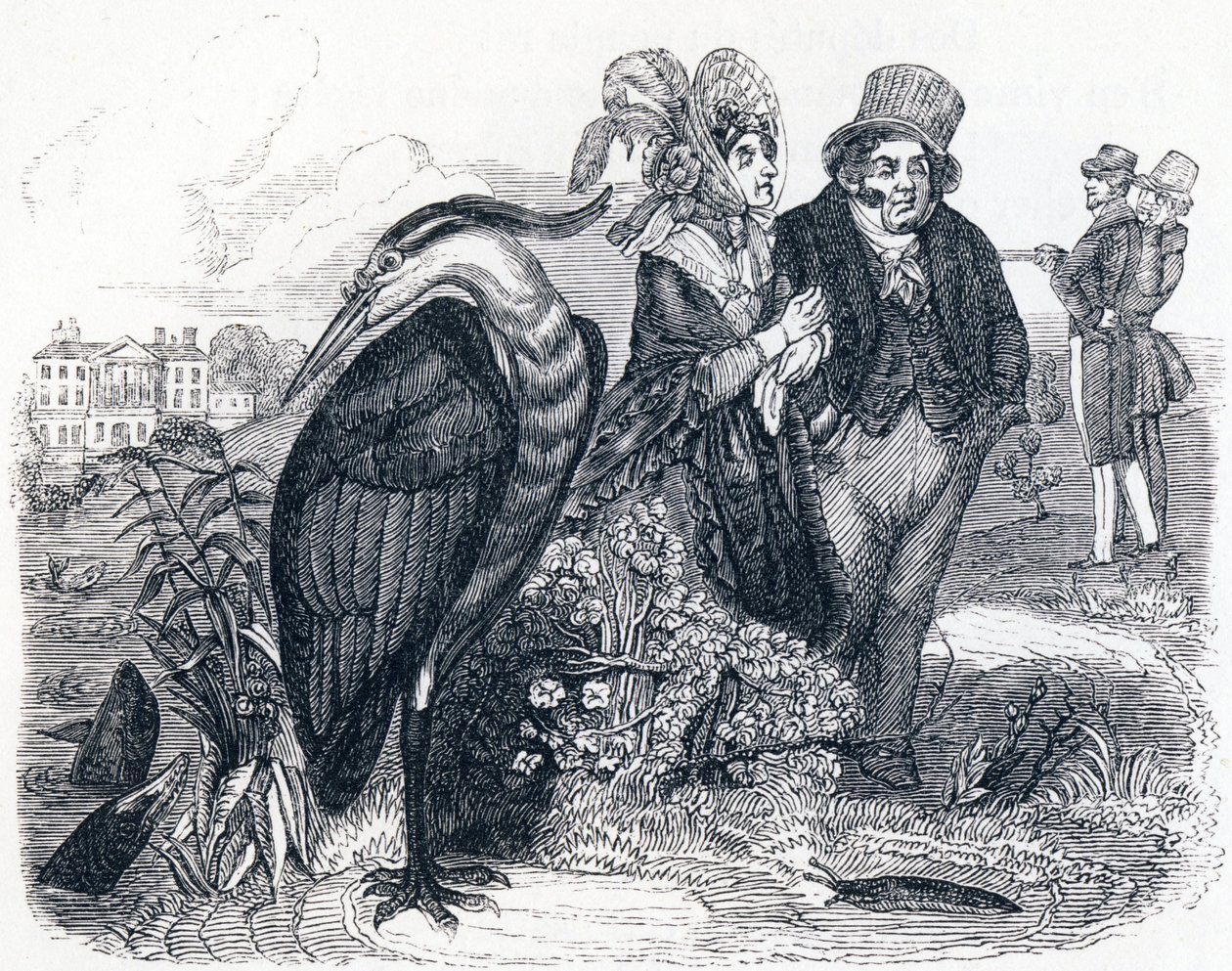 The heron (le Heron) - Fábulas de La Fontaine de Grandville