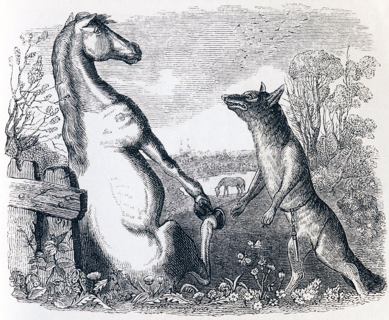 O cavalo e o lobo (Le cheval et le loup) - Fábulas de La Fontaine de Grandville