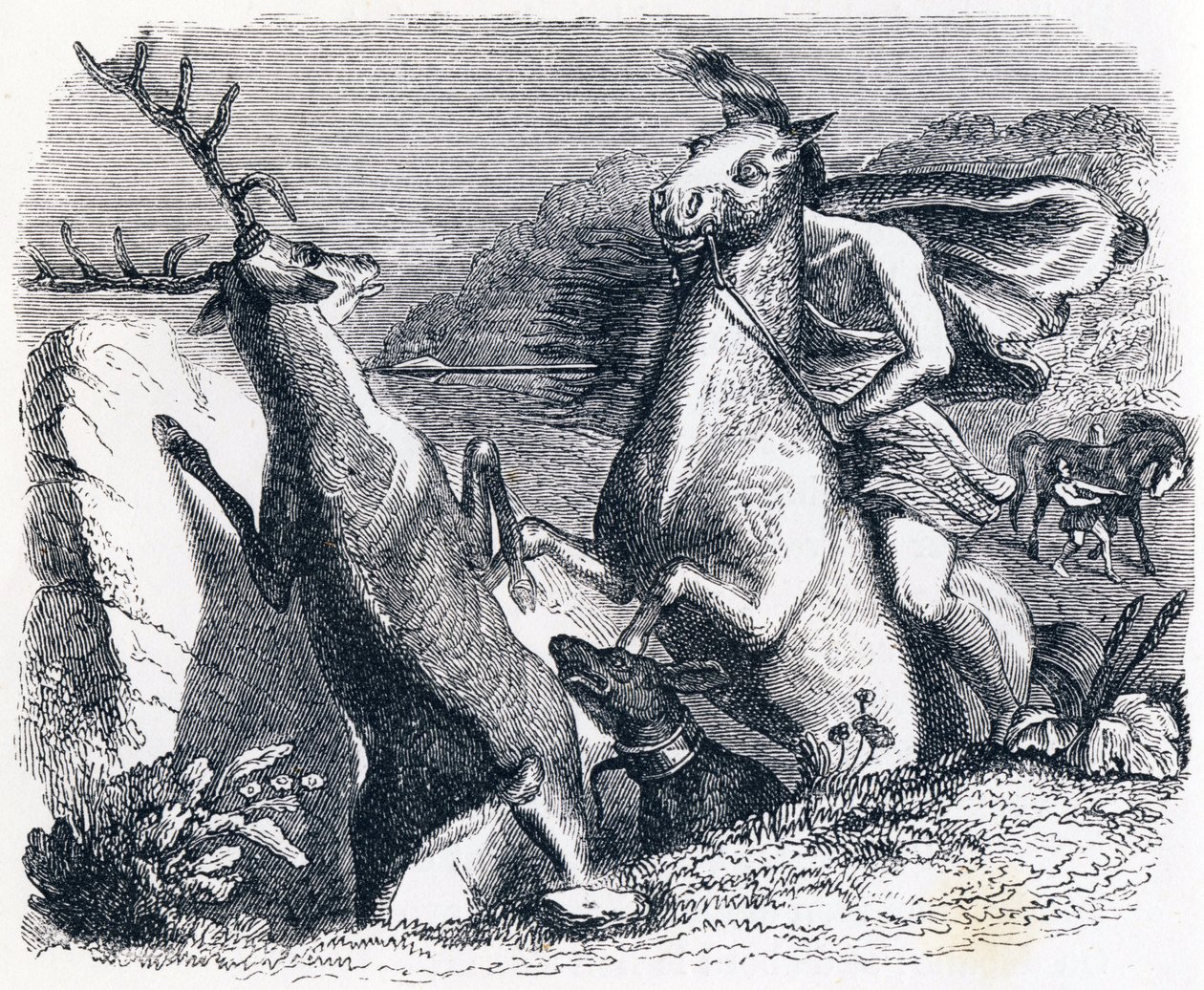 O cavalo queria vingar o veado (Le cheval s
