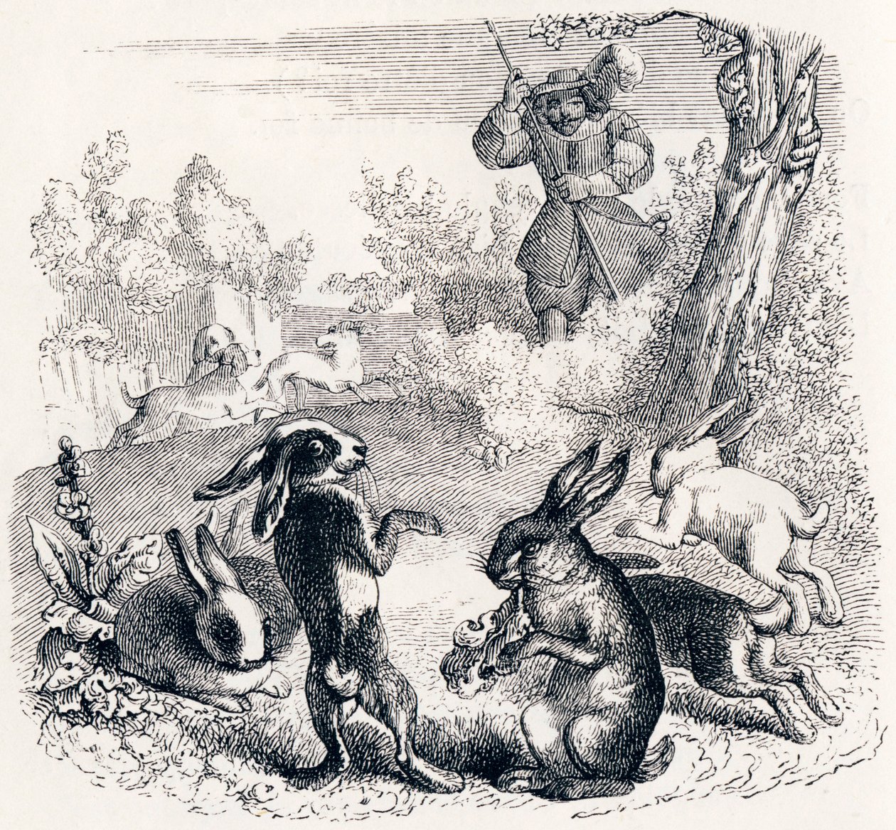 Os coelhos - Fábulas de La Fontaine de Grandville