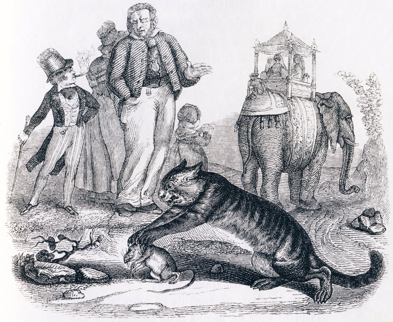 O rato e o elefante (le rat et l